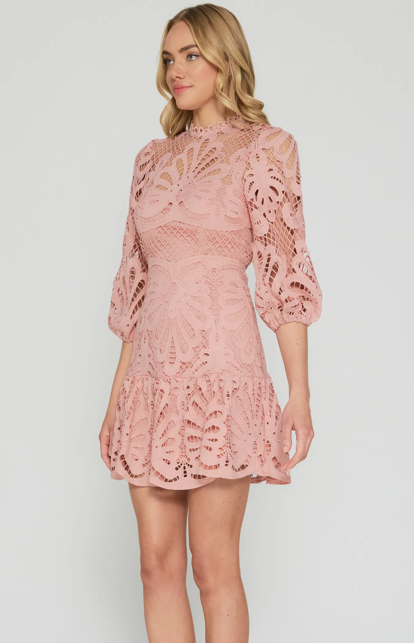 Embroidered Lace Dress with Bubble Sleeve Detail (SDR1403A)