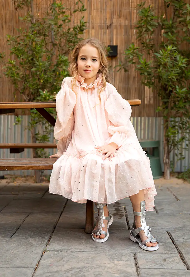 Ruffle Neckline Organza Dress